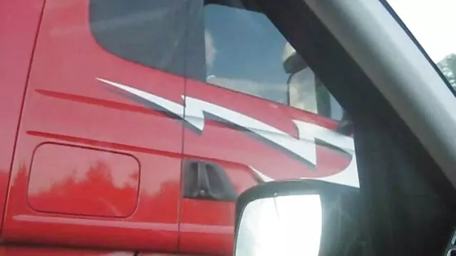 ペニスのように楽しむ猫 エロ 動画 イケメン 彼氏